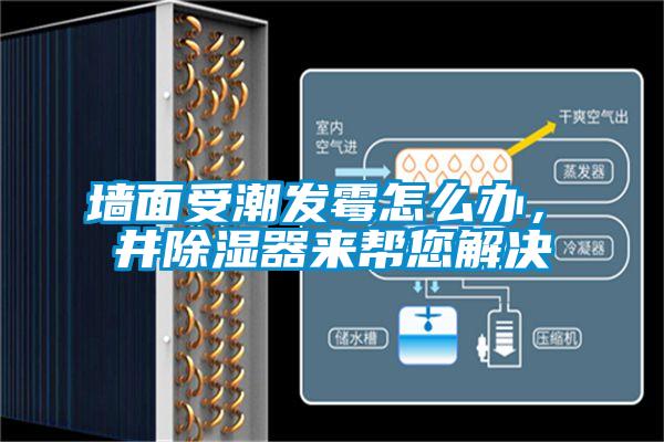 墙面受潮发霉怎么办，東井除湿器来帮您解决