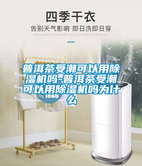 普洱茶受潮可以用除湿机吗-普洱茶受潮可以用除湿机吗为什么
