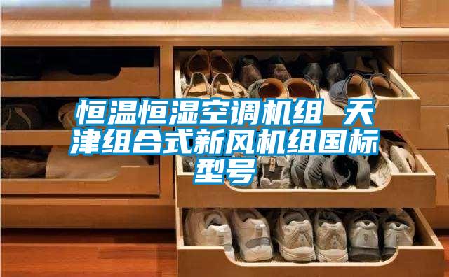 恒温恒湿空调机组 天津组合式新风机组国标型号