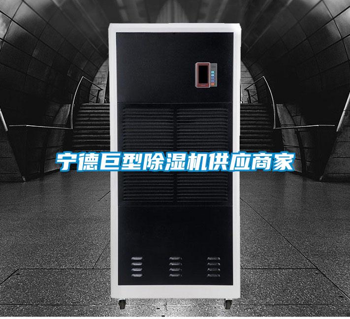 宁德巨型除湿机供应商家