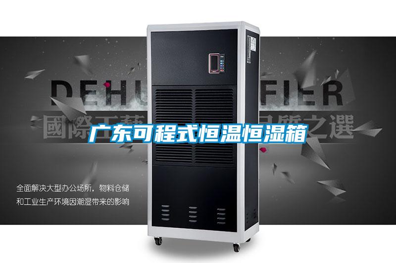 广东可程式恒温恒湿箱
