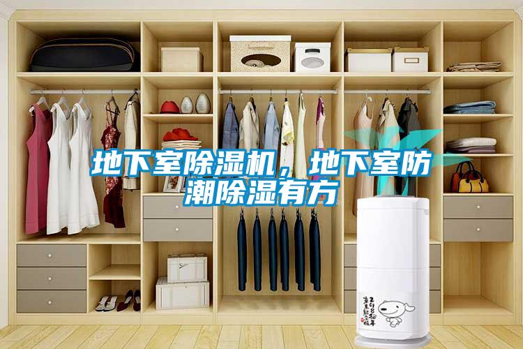 地下室除湿机，地下室防潮除湿有方