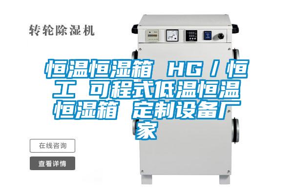 恒温恒湿箱 HG／恒工 可程式低温恒温恒湿箱 定制设备厂家