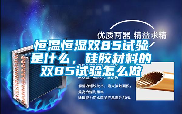 恒温恒湿双85试验是什么,硅胶材料的双85试验怎么做