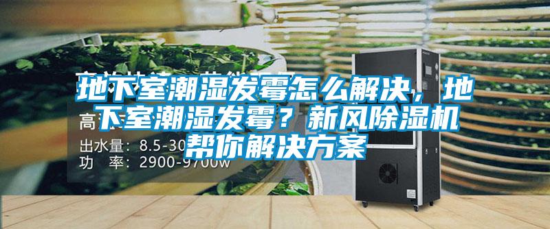 地下室潮湿发霉怎么解决，地下室潮湿发霉？新风除湿机帮你解决方案