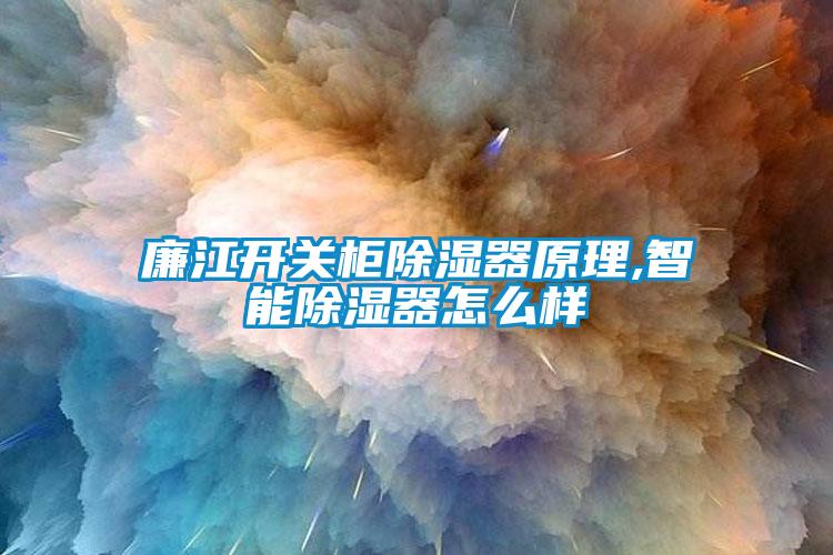 廉江开关柜除湿器原理,智能除湿器怎么样
