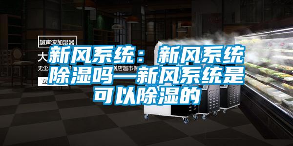 新风系统：新风系统除湿吗—新风系统是可以除湿的