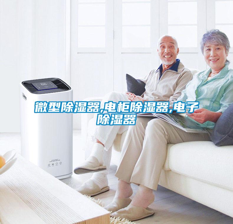 微型除湿器,电柜除湿器,电子除湿器