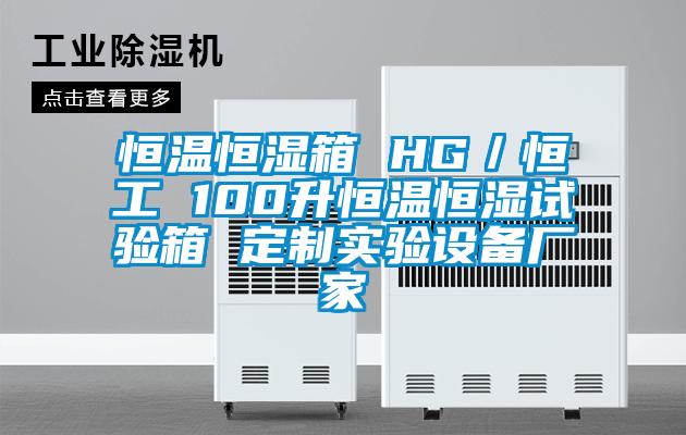 恒温恒湿箱 HG／恒工 100升恒温恒湿试验箱 定制实验设备厂家