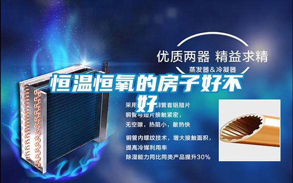 恒温恒氧的房子好不好