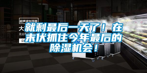 就剩最后一天了！在末伏抓住今年最后的除湿机会！