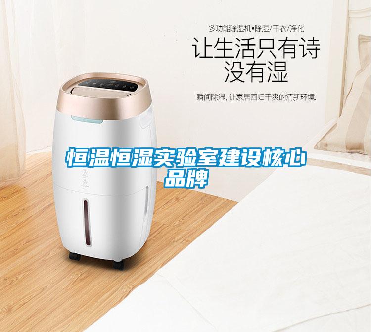 恒温恒湿实验室建设核心品牌