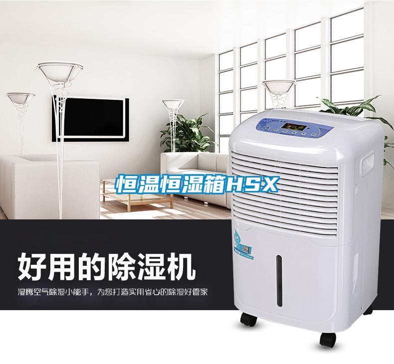 恒温恒湿箱HSX