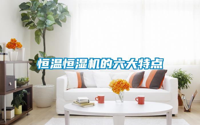 恒温恒湿机的六大特点