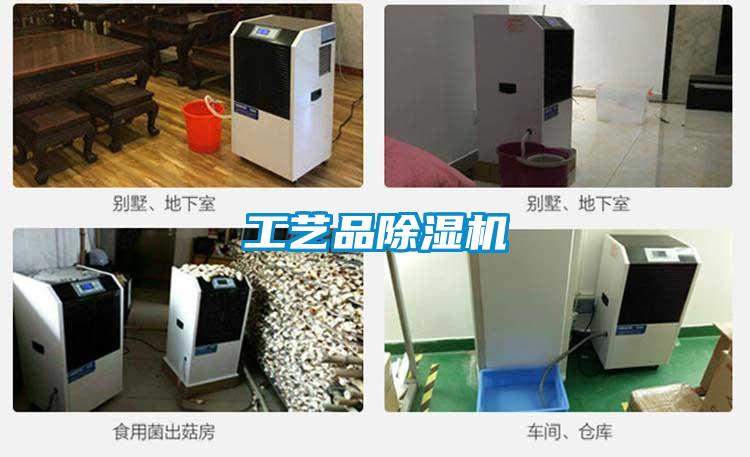工艺品除湿机