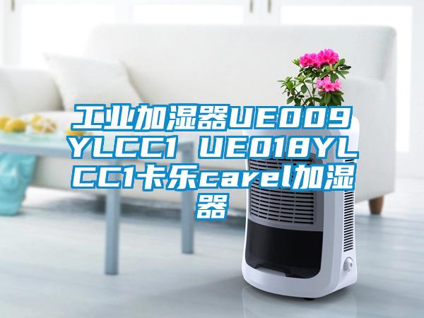 工业加湿器UE009YLCC1 UE018YLCC1卡乐carel加湿器