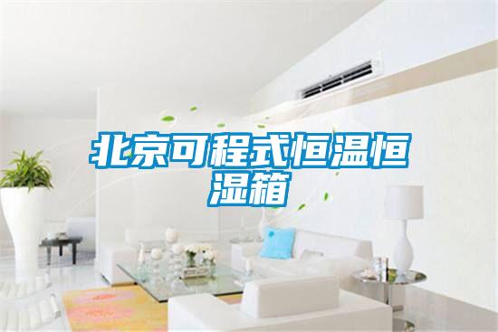 北京可程式恒温恒湿箱