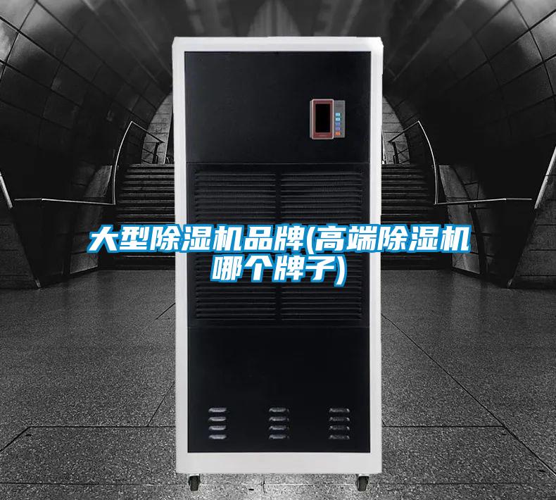 大型除湿机品牌(高端除湿机哪个牌子)