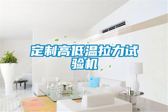 定制高低温拉力试验机