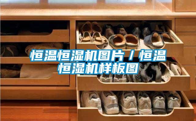 恒温恒湿机图片／恒温恒湿机样板图