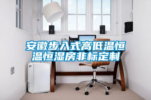 安徽步入式高低温恒温恒湿房非标定制