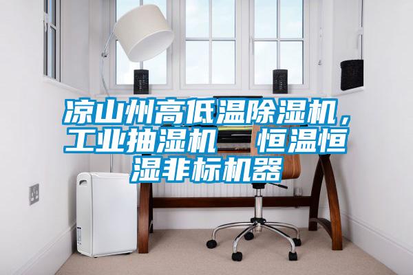 凉山州高低温除湿机，工业抽湿机  恒温恒湿非标机器