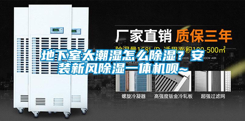 地下室太潮湿怎么除湿？安装新风除湿一体机呗~