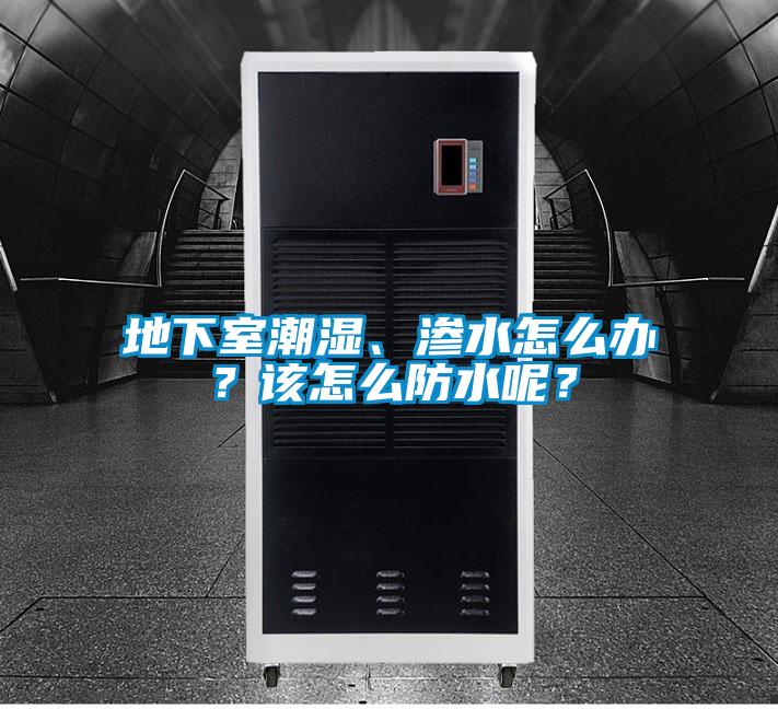 地下室潮湿、渗水怎么办？该怎么防水呢？