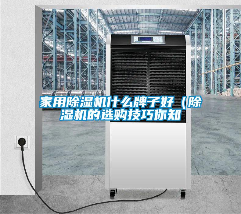 家用除湿机什么牌子好（除湿机的选购技巧你知