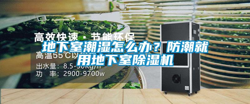 地下室潮湿怎么办?防潮就用地下室除湿机