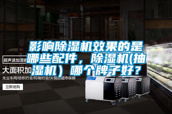 影响除湿机效果的是哪些配件，除湿机(抽湿机）哪个牌子好？