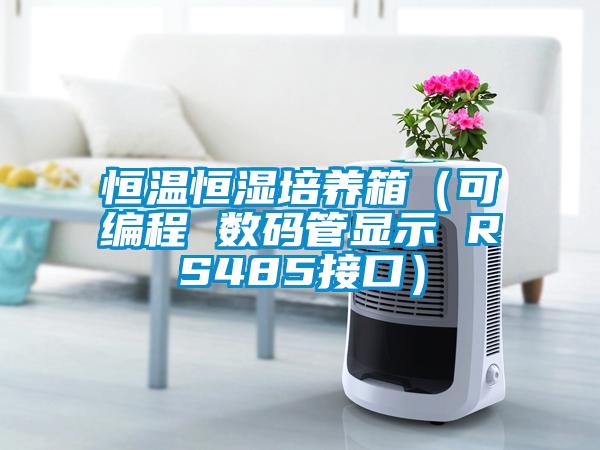 恒温恒湿培养箱（可编程 数码管显示 RS485接口）