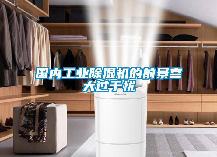 国内工业除湿机的前景喜大过于忧