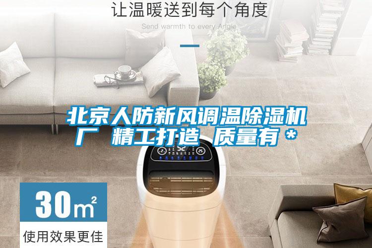 北京人防新风调温除湿机厂 精工打造 质量有＊