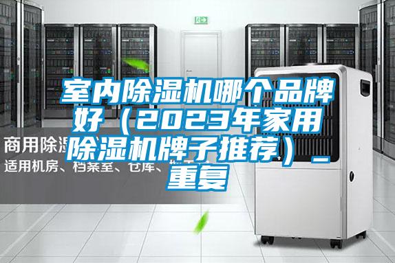 室内除湿机哪个品牌好（2023年家用除湿机牌子推荐）_重复