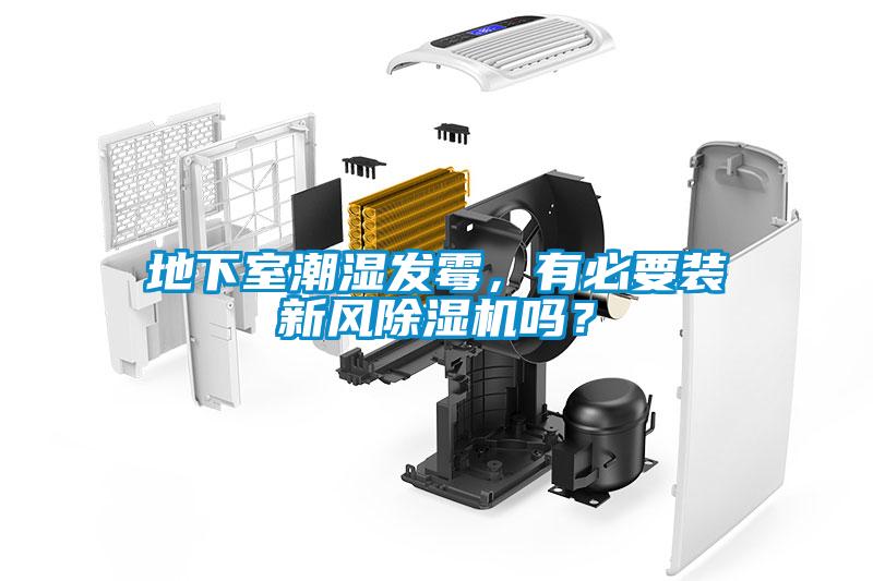 地下室潮湿发霉，有必要装新风除湿机吗？