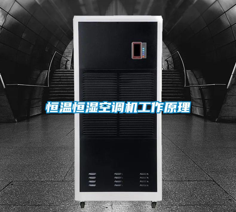 恒温恒湿空调机工作原理