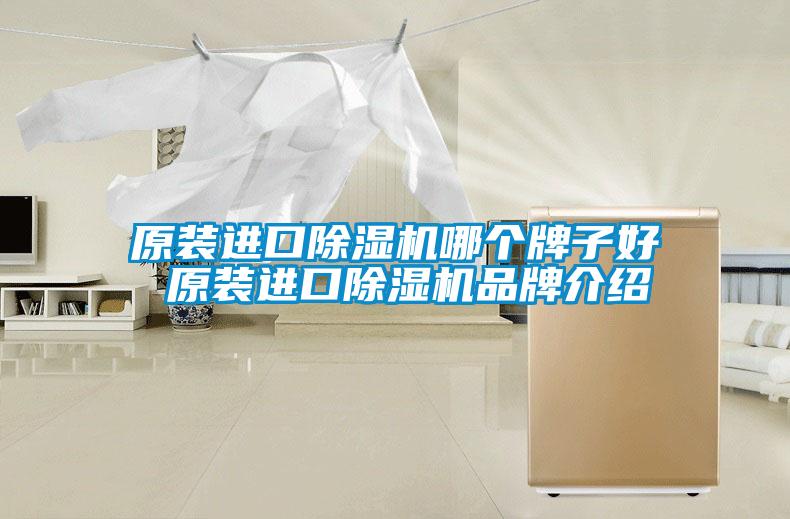 原装进口除湿机哪个牌子好 原装进口除湿机品牌介绍