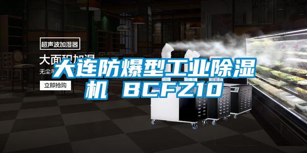 大连防爆型工业除湿机 BCFZ10