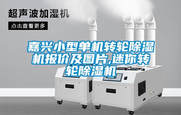 嘉兴小型单机转轮除湿机报价及图片,迷你转轮除湿机