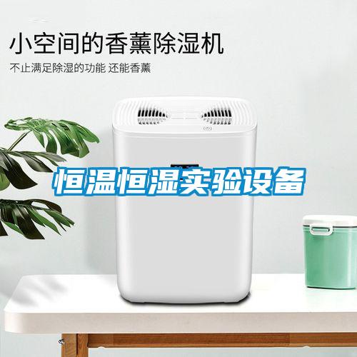 恒温恒湿实验设备