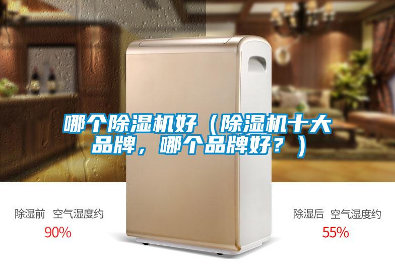 哪个除湿机好(除湿机十大品牌,哪个品牌好?)