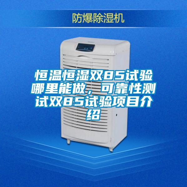 恒温恒湿双85试验哪里能做,可靠性测试双85试验项目介绍
