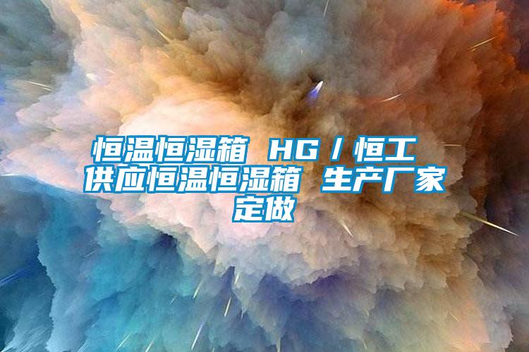 恒温恒湿箱 HG／恒工 供应恒温恒湿箱 生产厂家定做