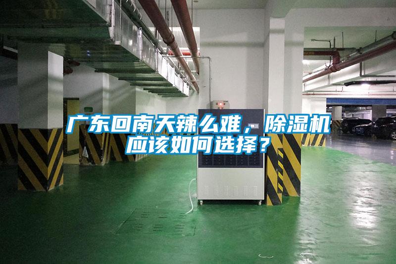 广东回南天辣么难，除湿机应该如何选择？