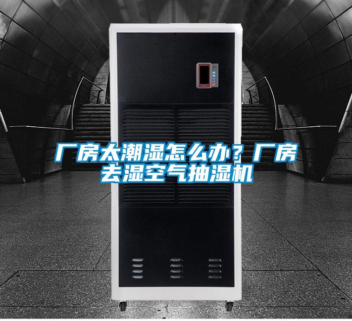 厂房太潮湿怎么办?厂房去湿空气抽湿机