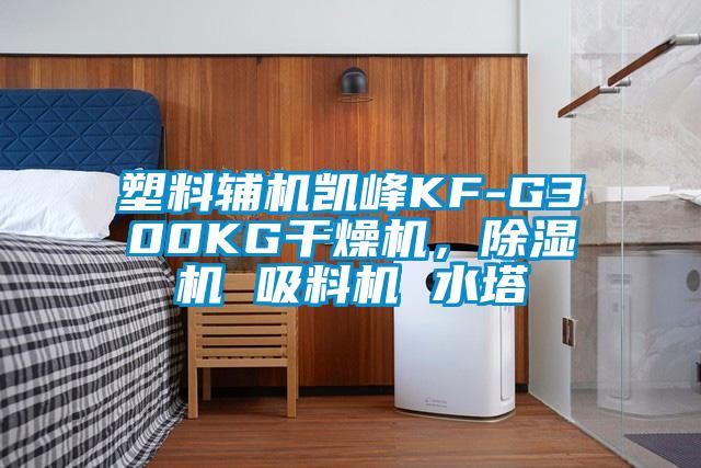 塑料辅机凯峰KF-G300KG干燥机,除湿机 吸料机 水塔