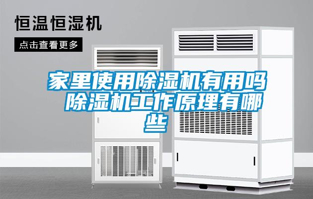 家里使用除湿机有用吗 除湿机工作原理有哪些