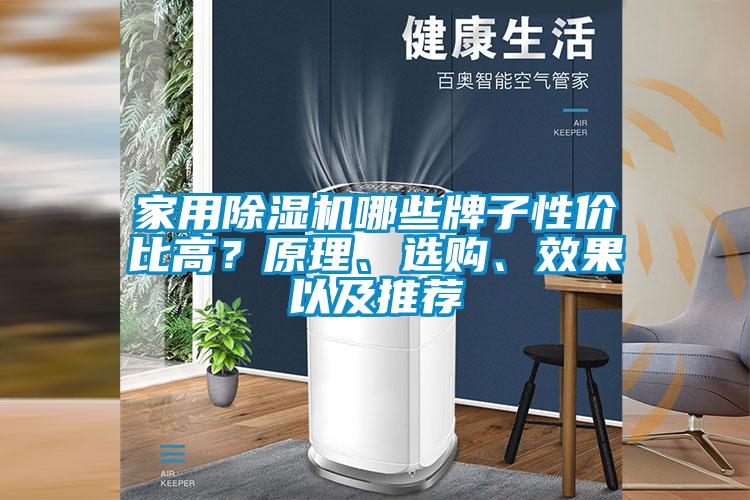 家用除湿机哪些牌子性价比高？原理、选购、效果以及推荐