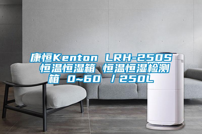 康恒Kenton LRH-250S 恒温恒湿箱 恒温恒湿检测箱 0~60℃/250L